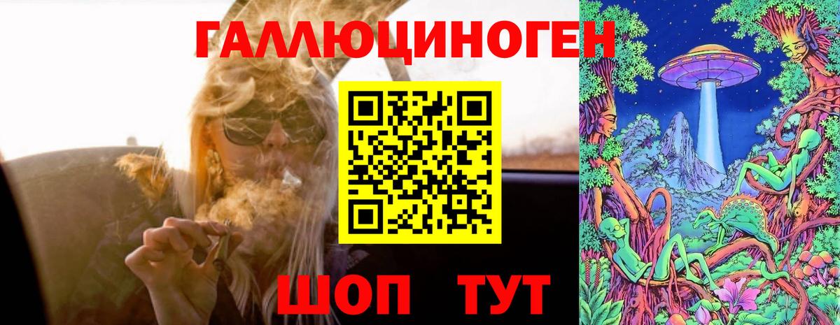 Псилоцибиновые грибы прущие грибы Омск
