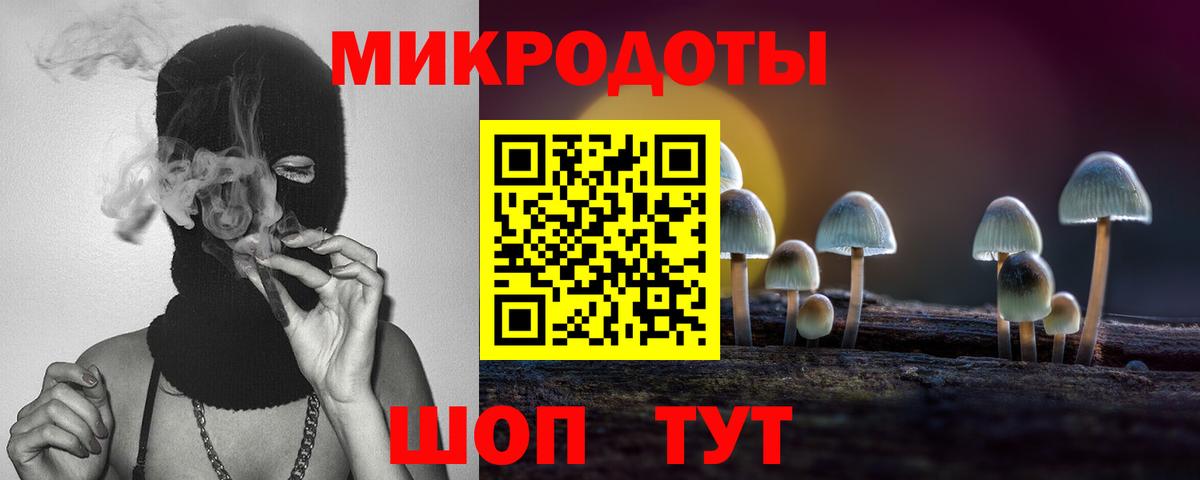 Омск  Псилоцибиновые грибы мицелий  Псилоцибиновые грибы Psilocybe  Вход с VPN 